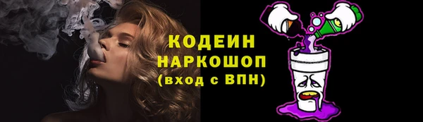 тгк Абаза