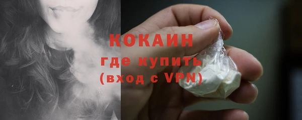 тгк Абаза