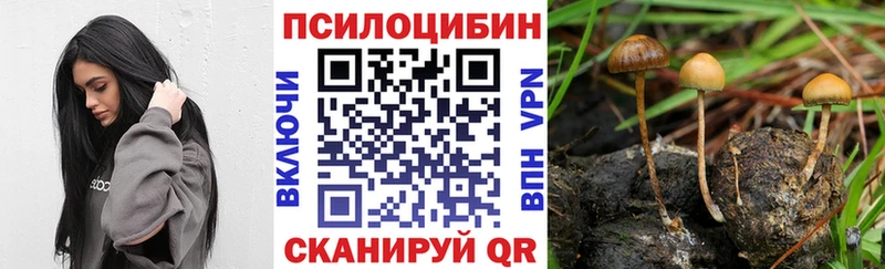 Галлюциногенные грибы Psilocybe KRAKEN как зайти Серпухов